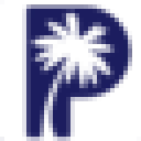 Palmetto Surety Corporation logo